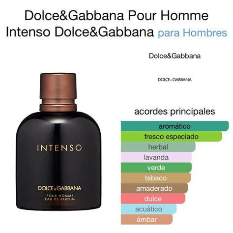 intenso dolce gabbana 100ml|dolce gabbana intenso homme.